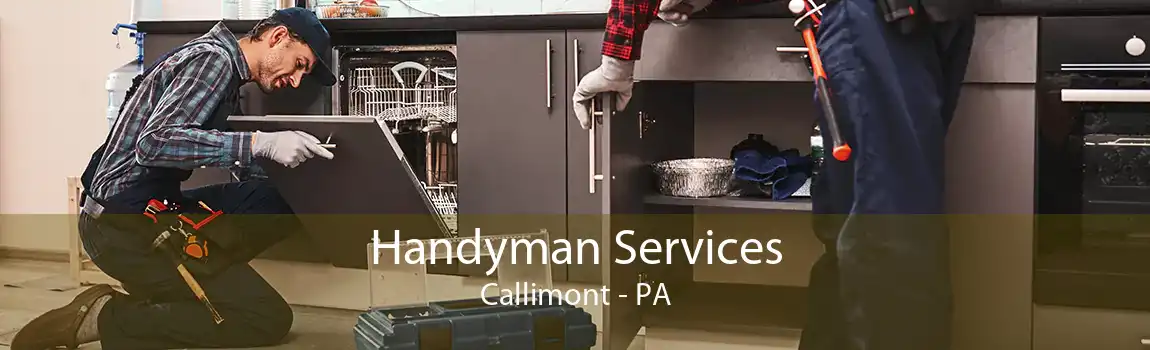  Handyman Services Callimont - PA
