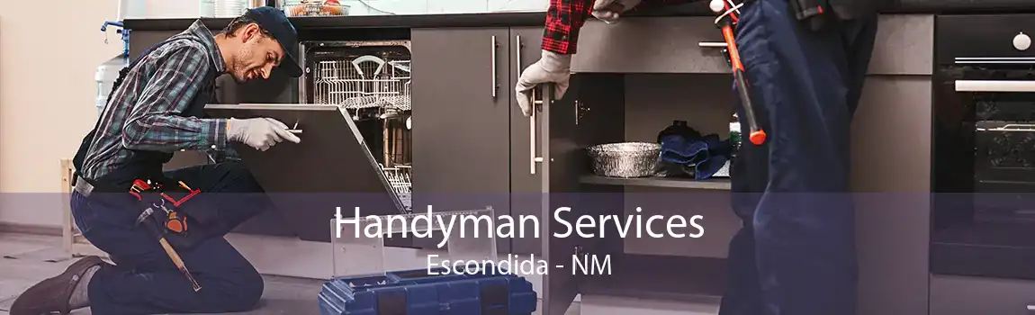 Handyman Services Escondida - NM