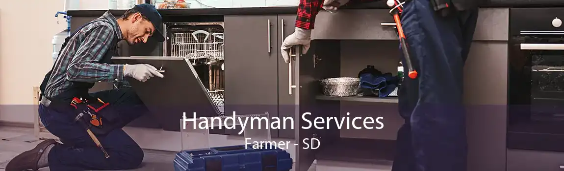 Handyman Services Farmer - SD