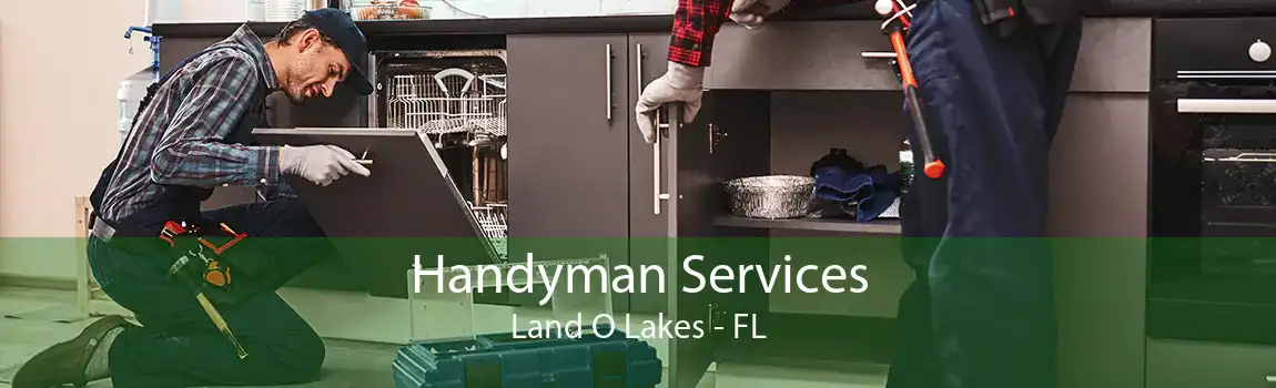 Handyman Services Land O Lakes - FL