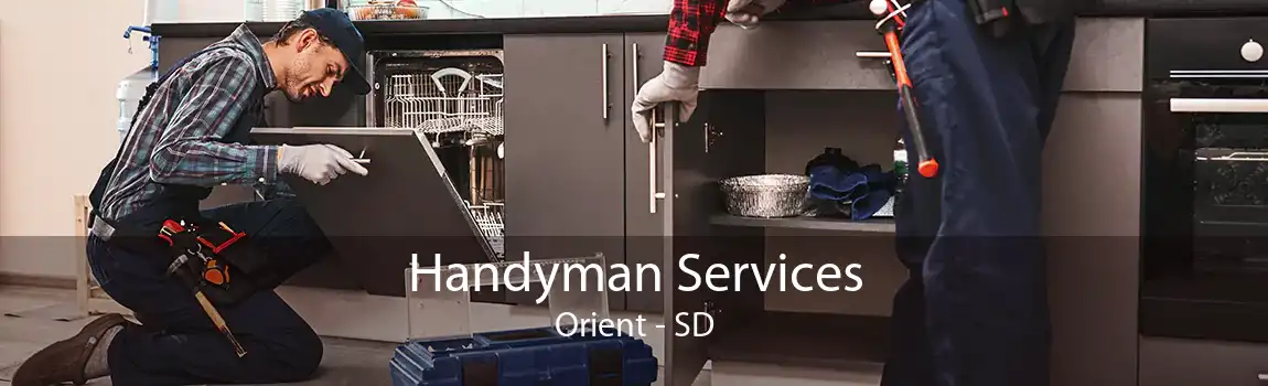  Handyman Services Orient - SD