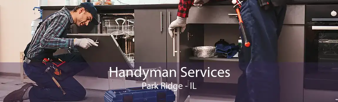  Handyman Services Park Ridge - IL