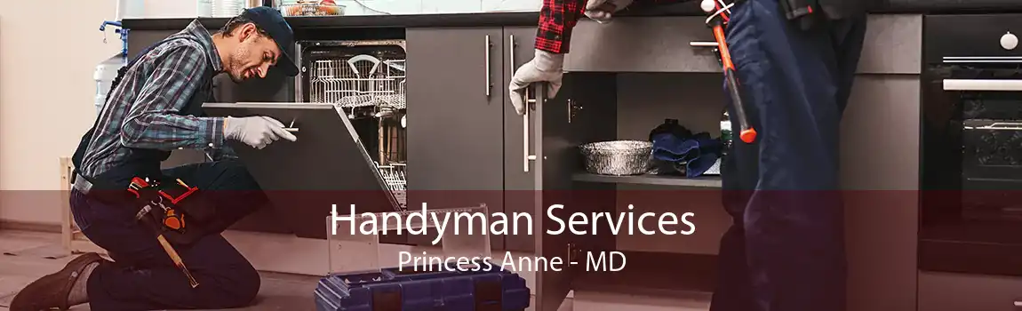 Handyman Services Princess Anne - MD