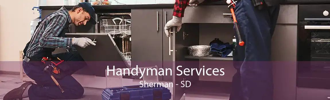  Handyman Services Sherman - SD