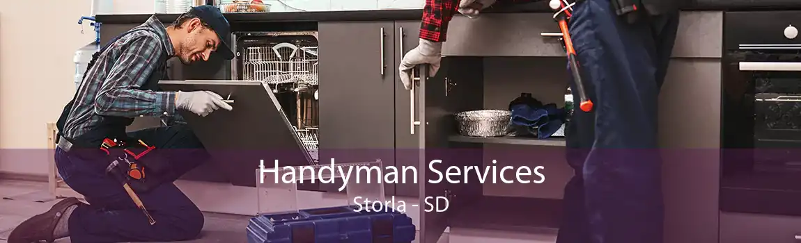  Handyman Services Storla - SD