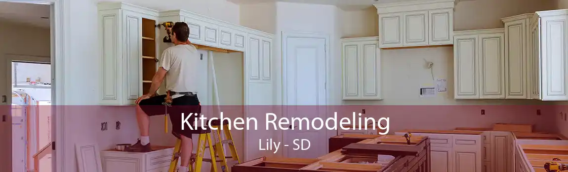 Kitchen Remodeling Lily - SD