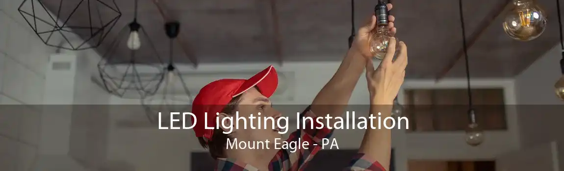 LED Lighting Installation Mount Eagle - PA