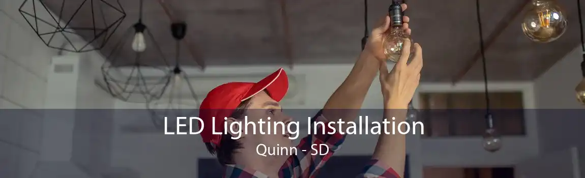  LED Lighting Installation Quinn - SD