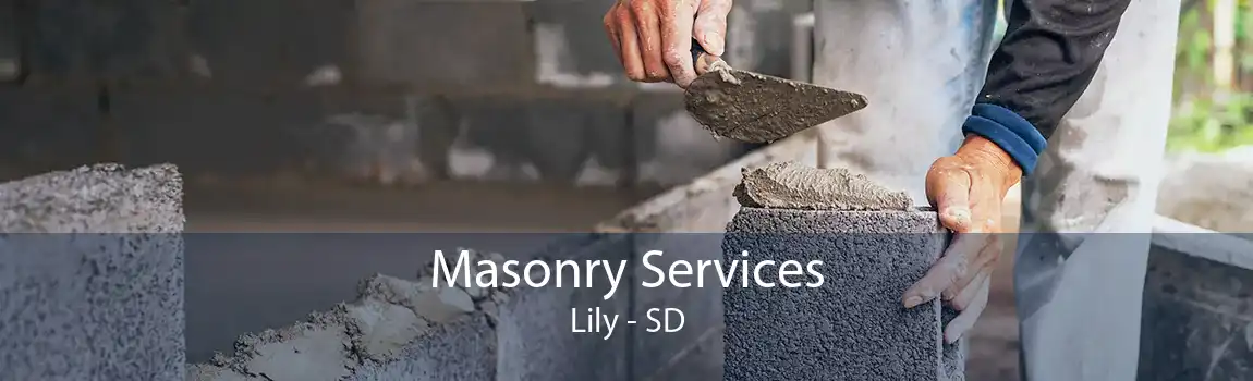 Masonry Services Lily - SD