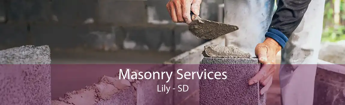  Masonry Services Lily - SD