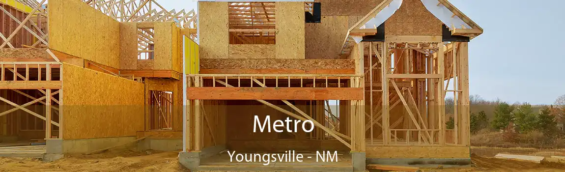  Metro Youngsville - NM