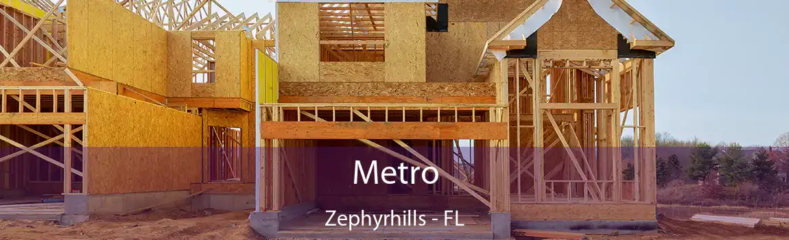  Metro Zephyrhills - FL