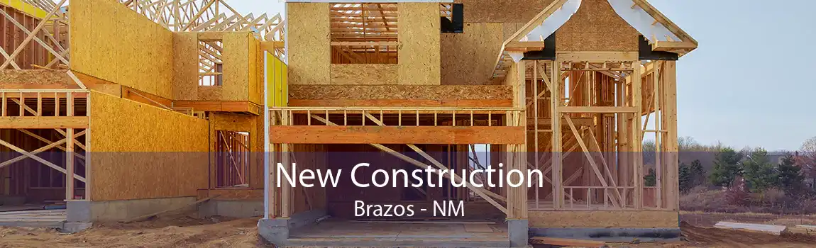  New Construction Brazos - NM