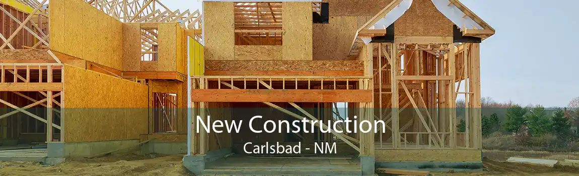 New Construction Carlsbad - NM