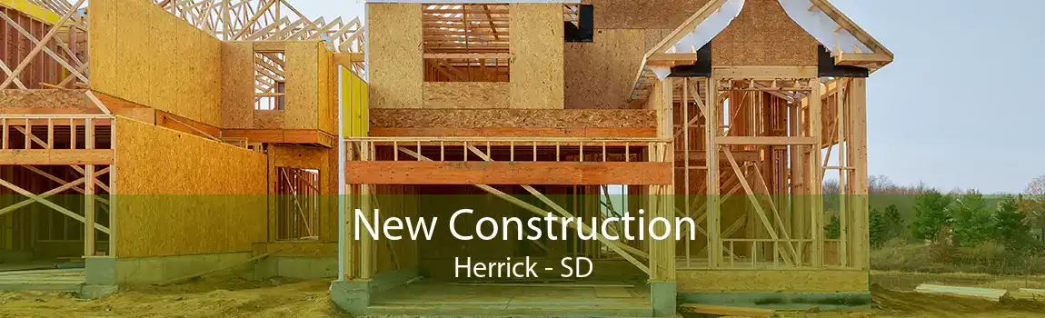  New Construction Herrick - SD