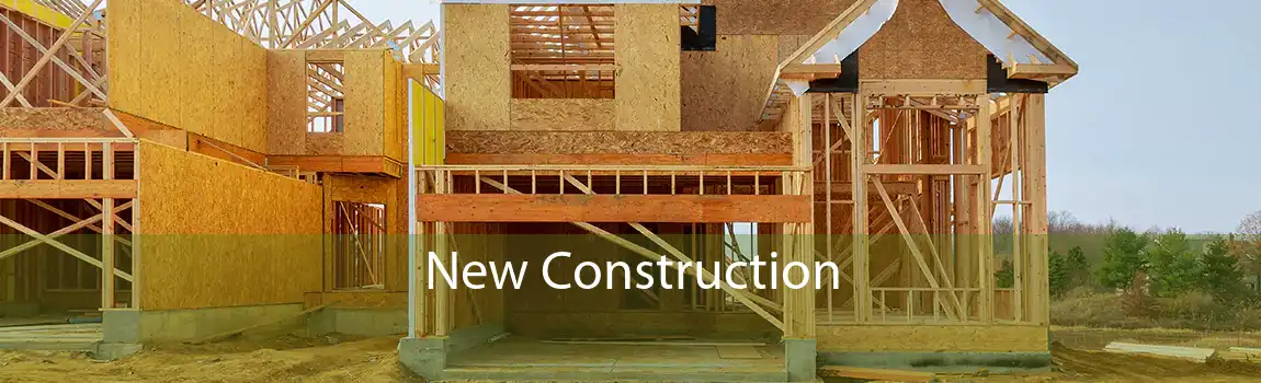  New Construction 