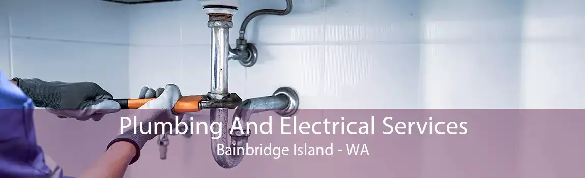 Plumbing And Electrical Services Bainbridge Island - WA