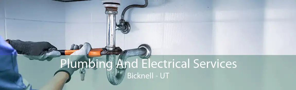 Plumbing And Electrical Services Bicknell - UT