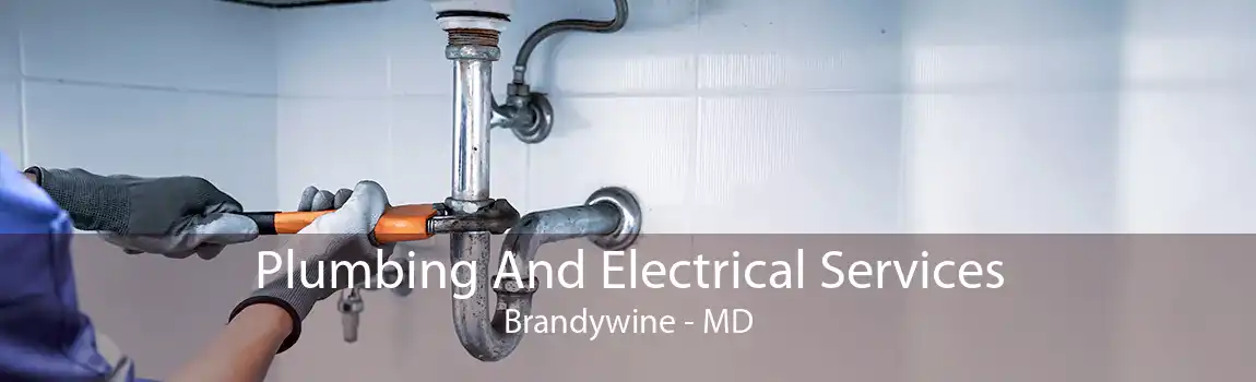 Plumbing And Electrical Services Brandywine - MD
