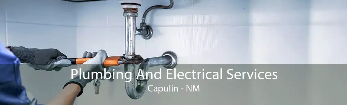  Plumbing And Electrical Services Capulin - NM