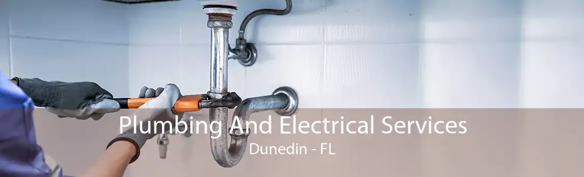 Plumbing And Electrical Services Dunedin - FL