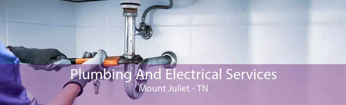 Plumbing And Electrical Services Mount Juliet - TN