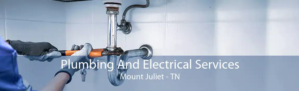 Plumbing And Electrical Services Mount Juliet - TN