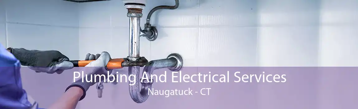  Plumbing And Electrical Services Naugatuck - CT