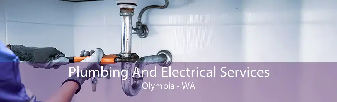 Plumbing And Electrical Services Olympia - WA