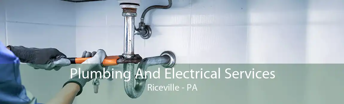 Plumbing And Electrical Services Riceville - PA