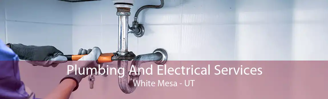 Plumbing And Electrical Services White Mesa - UT