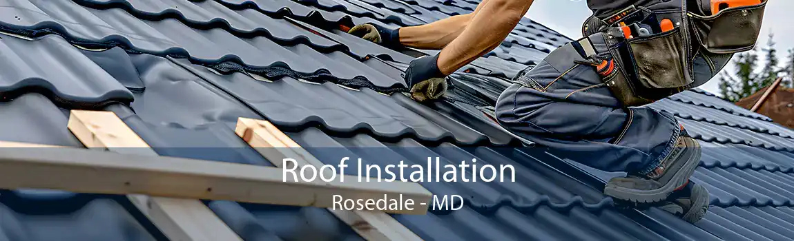  Roof Installation Rosedale - MD