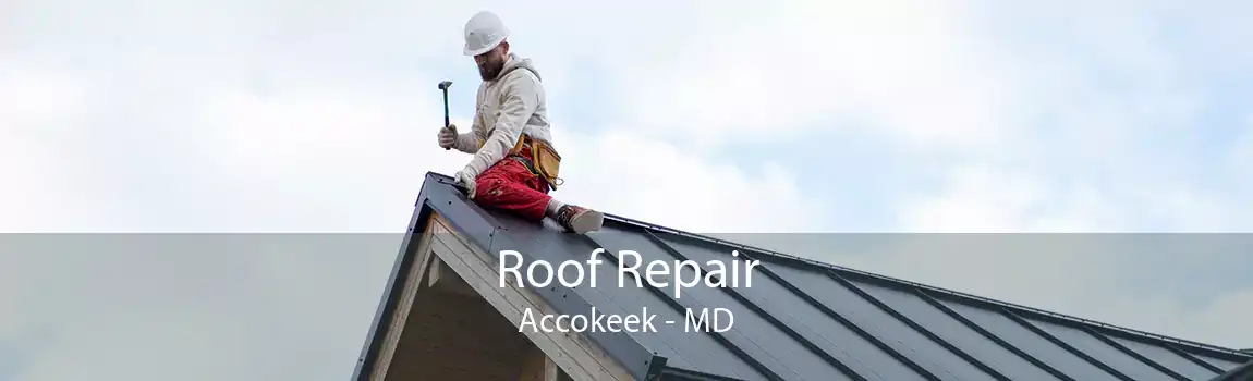  Roof Repair Accokeek - MD