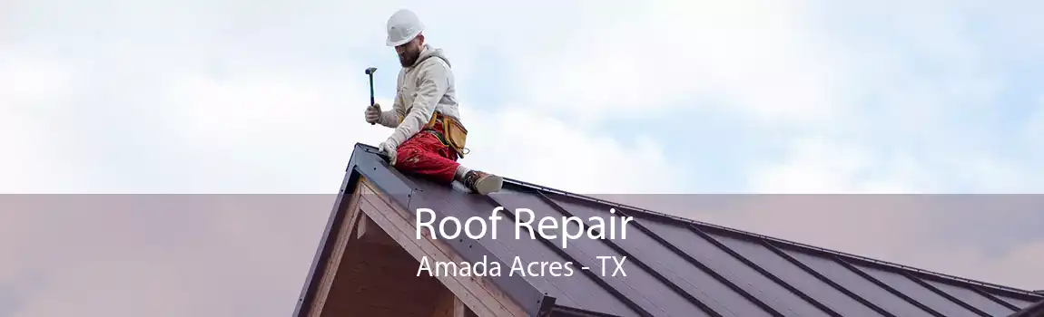 Roof Repair Amada Acres - TX