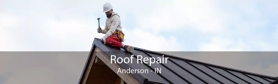  Roof Repair Anderson - IN