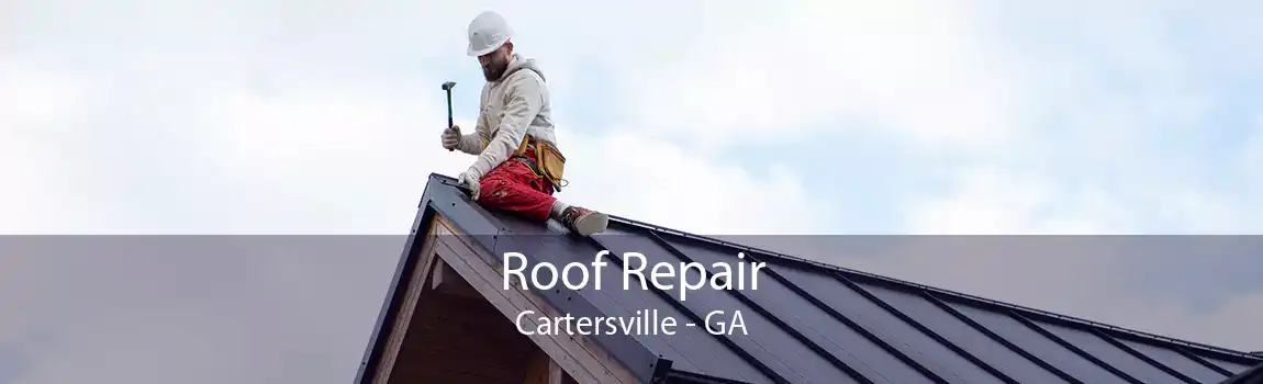  Roof Repair Cartersville - GA
