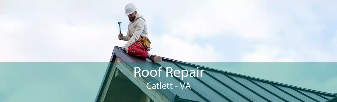  Roof Repair Catlett - VA