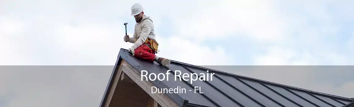  Roof Repair Dunedin - FL