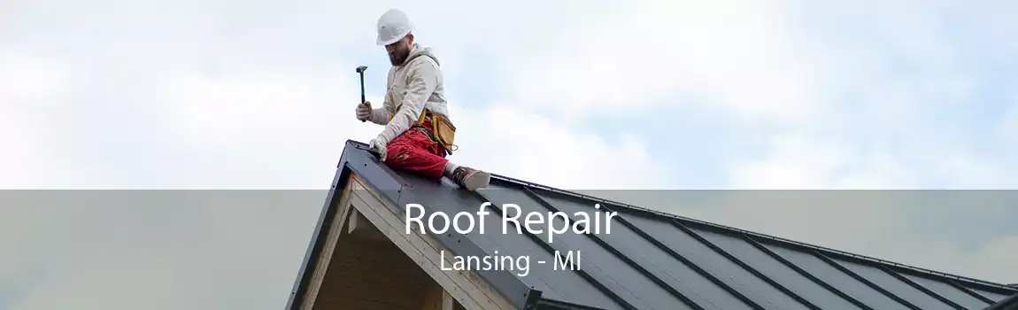 Roof Repair Lansing - MI