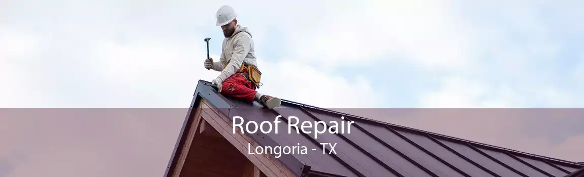  Roof Repair Longoria - TX