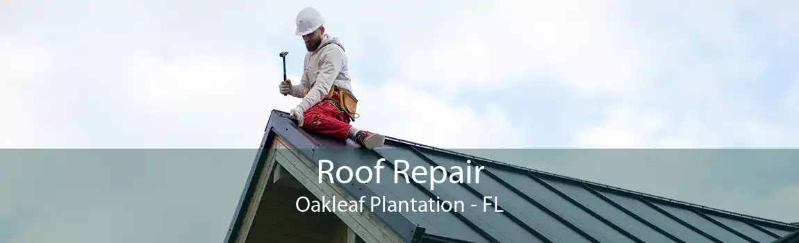  Roof Repair Oakleaf Plantation - FL