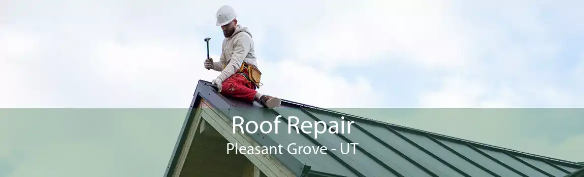  Roof Repair Pleasant Grove - UT