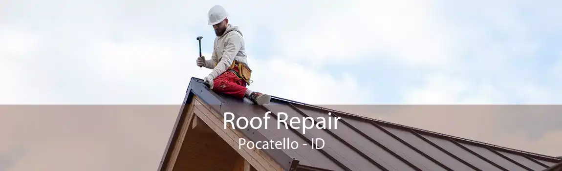 Roof Repair Pocatello - ID