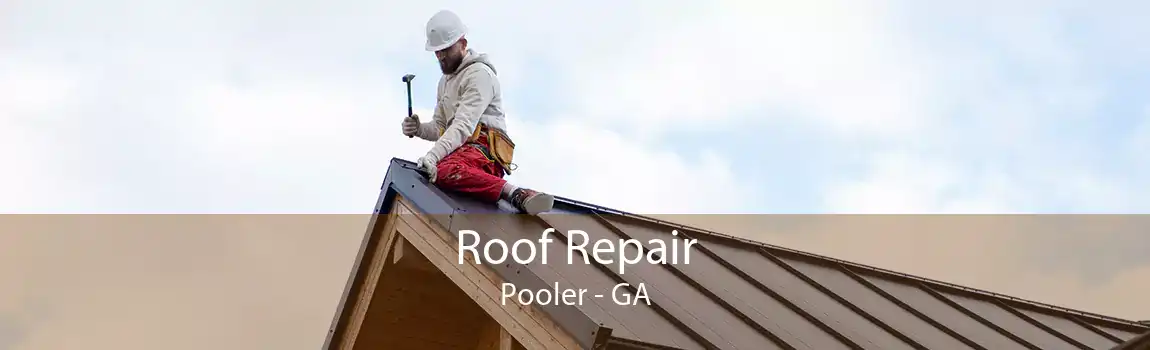  Roof Repair Pooler - GA