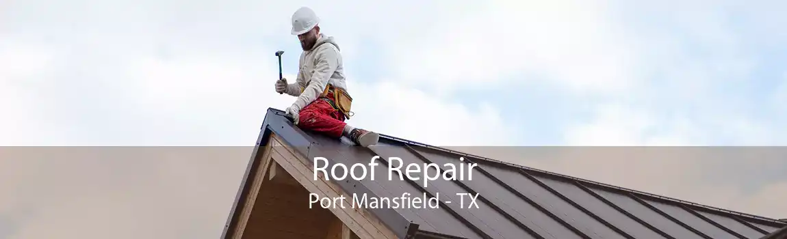  Roof Repair Port Mansfield - TX