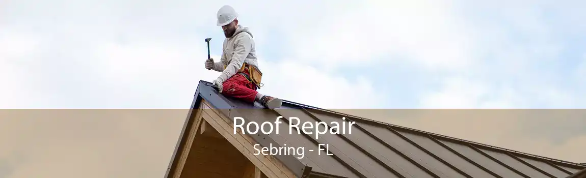  Roof Repair Sebring - FL
