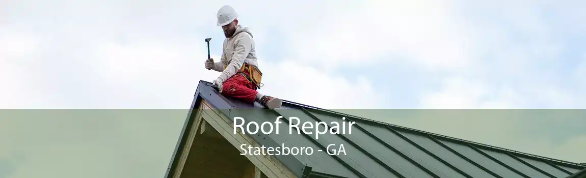  Roof Repair Statesboro - GA