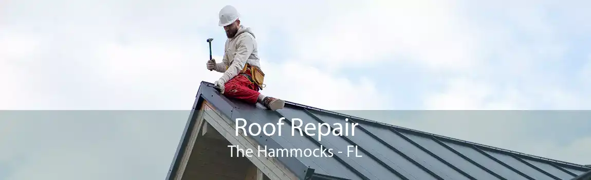  Roof Repair The Hammocks - FL