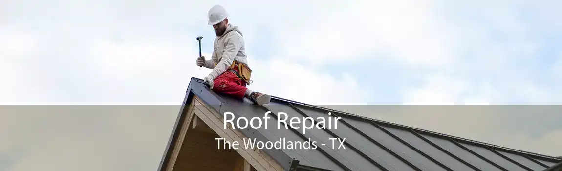  Roof Repair The Woodlands - TX